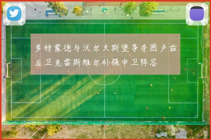 多特蒙德与沃尔夫斯堡争夺图卢兹后卫克雷斯维尔补强中卫阵容